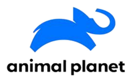 Animal Planet Animal Planet