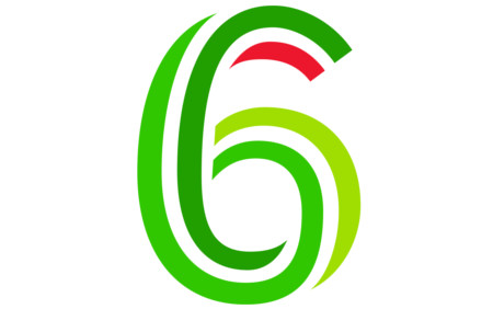 6 6
